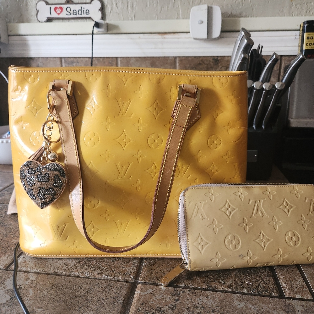 Authentic Louis vuitton purse and wallet